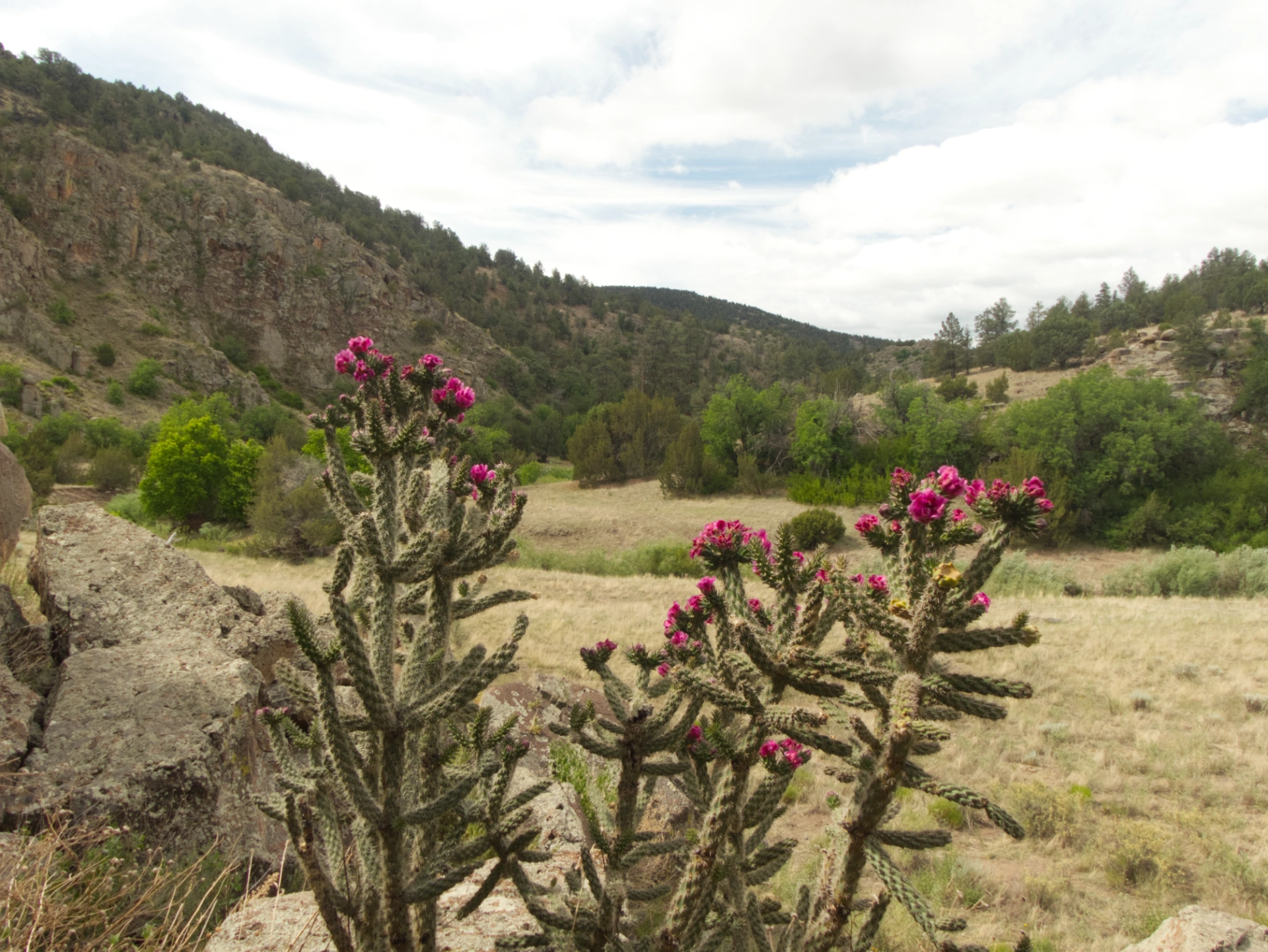 Tularosa River valley