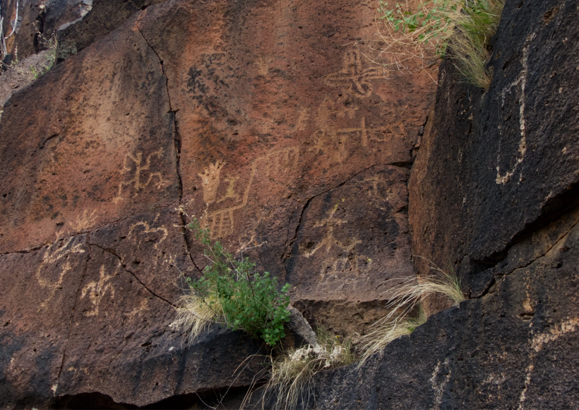 petroglyphs