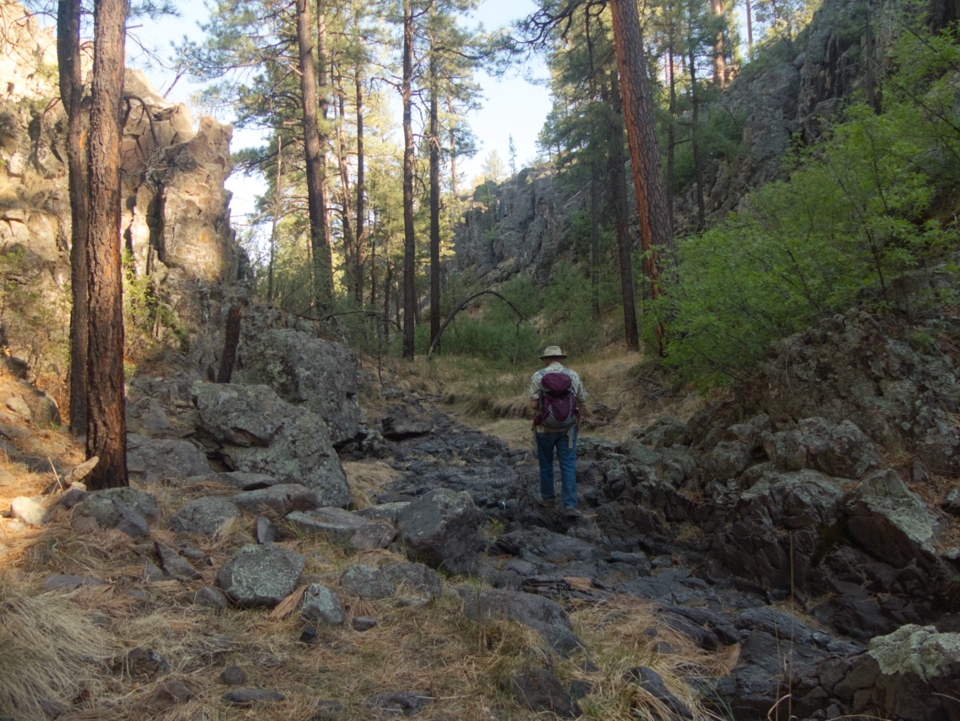 rugged canyon below Tenney Pond