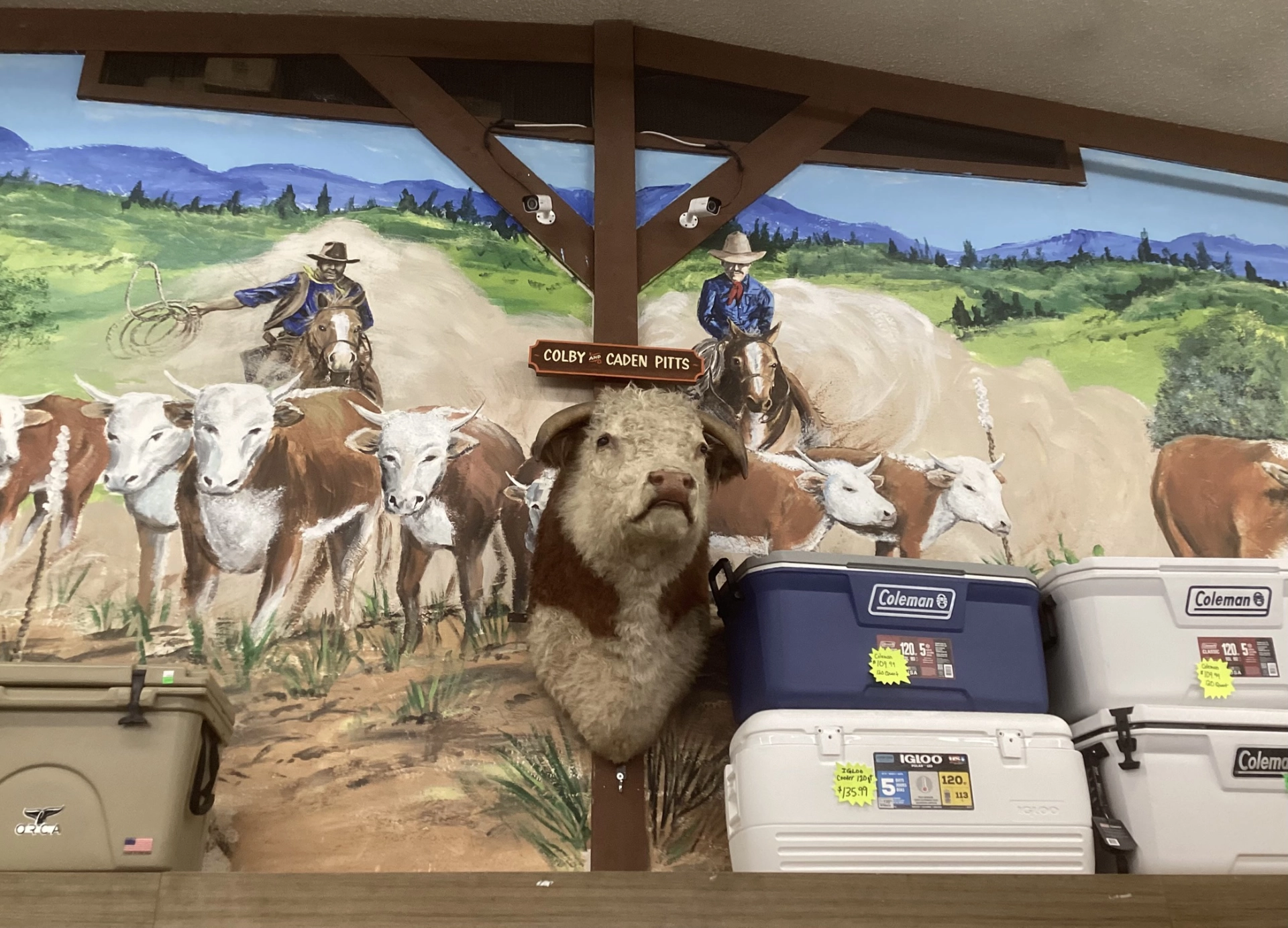 mural with hereford head at Western Drug