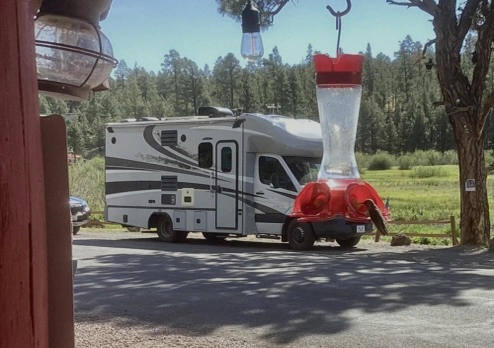 hummingbird at a feeder with our RV in the background