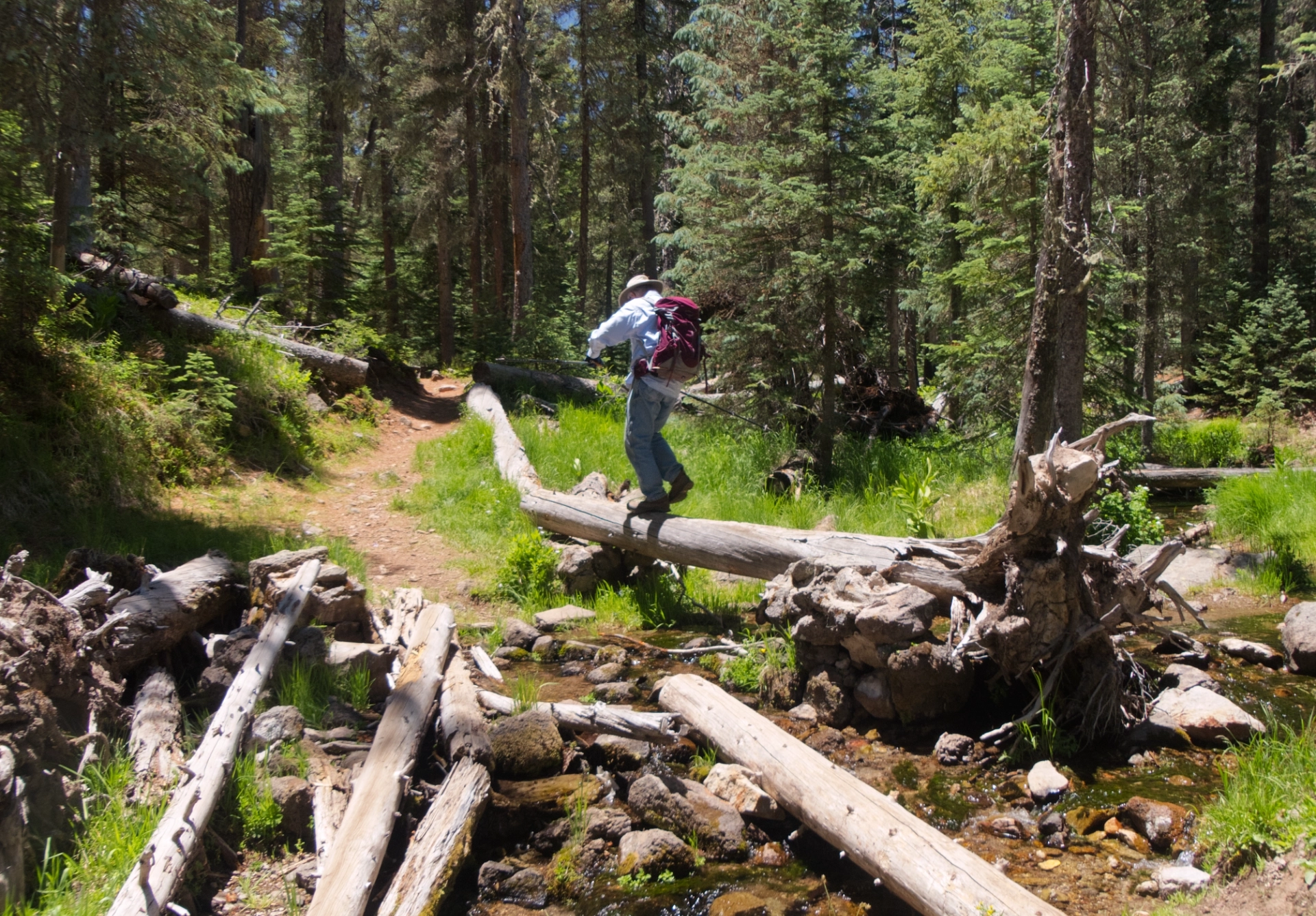 crossing the creek
