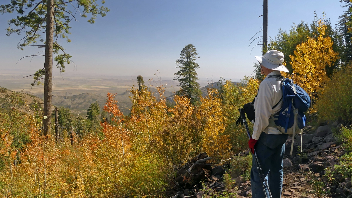 top of the ridge